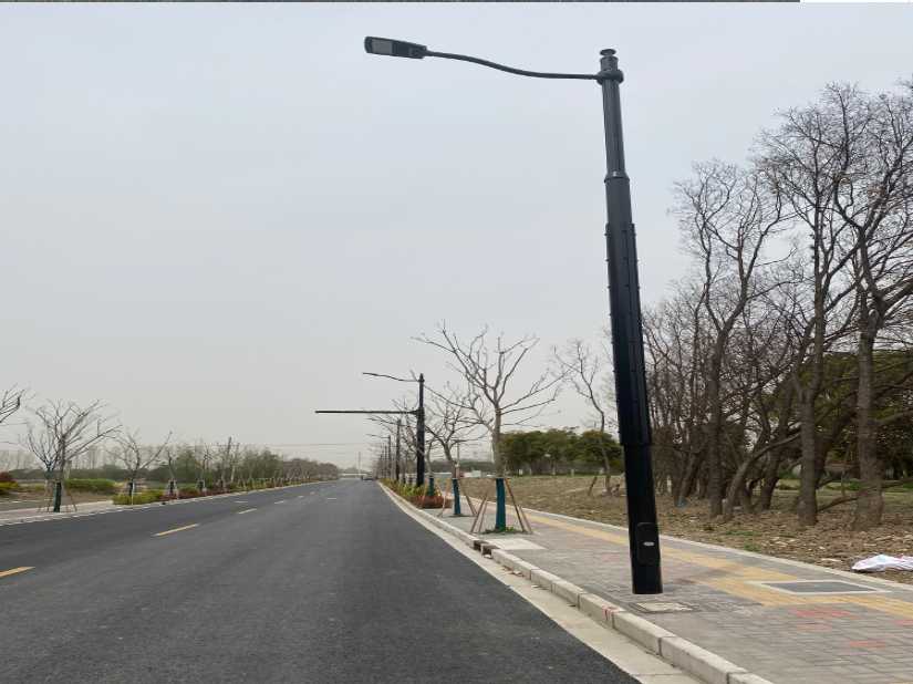 蓬溪县上海综合杆 太阳能路灯工程
